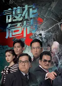 《护花危情》：当霸道总裁爱上我？不，是警察蜀黍的柔情铁汉守护！